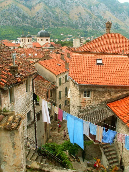 Kotor vieille ville — Photo