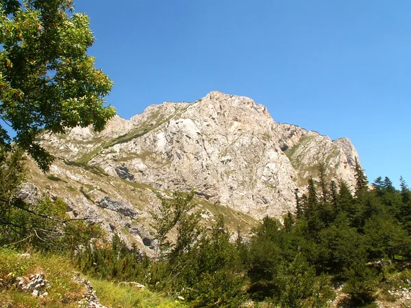 Parcul Național Durmitor — Fotografie, imagine de stoc