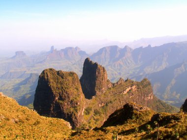 Simien