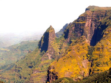 Simien