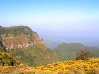 Simien