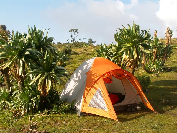 stock image Tent in Ethiopia