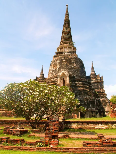 Wat Phra Si Sanphet — Φωτογραφία Αρχείου