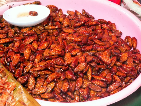 stock image Grilled insects