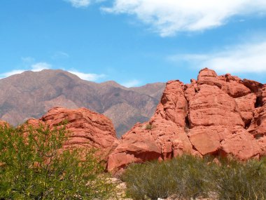 Cafayate Kanyonu