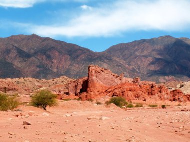 Cafayate Kanyonu