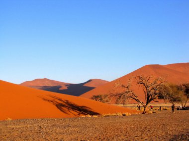 Dunes