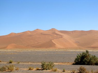 Dune deniz