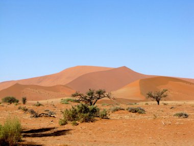 Dune deniz