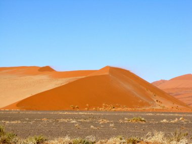 Dune deniz