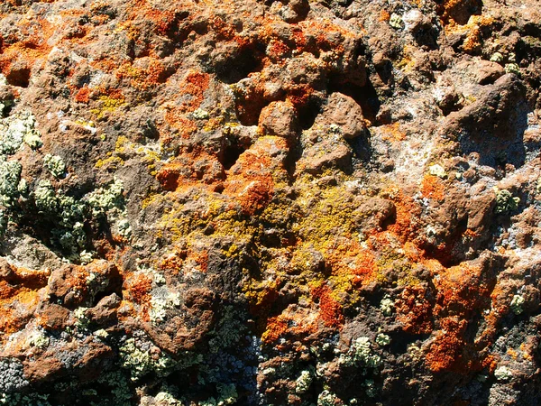 Volcanic lava — Stock Photo, Image