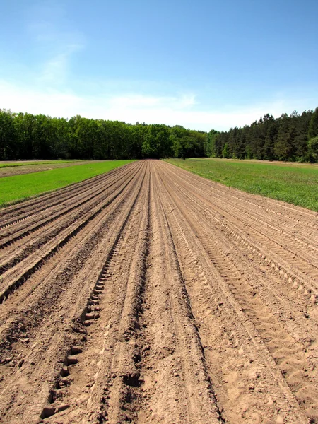 Ploughed filed — Stock Photo, Image