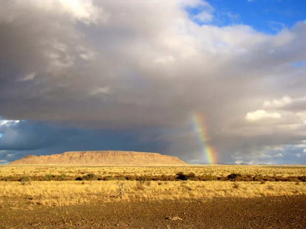 Namibische landschap — Stockfoto