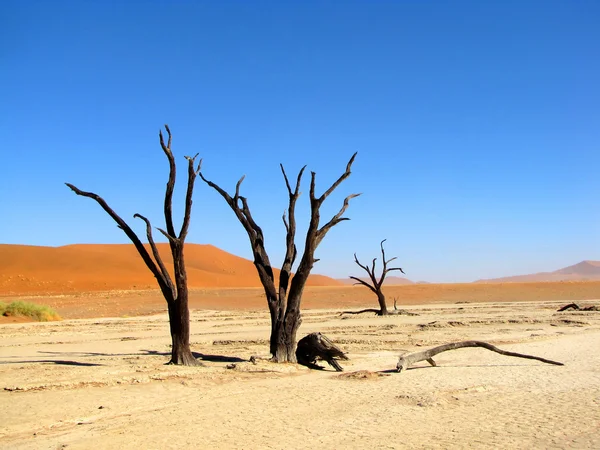 stock image Dead Valley