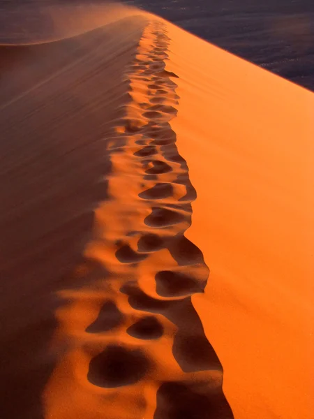 Dunes — Photo