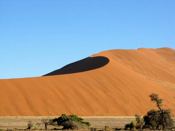 Mer des dunes — Photo