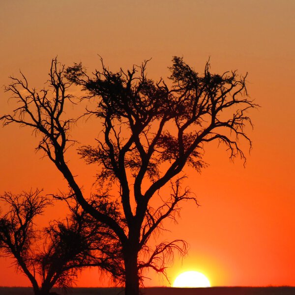 Colorful sunset in Namibia