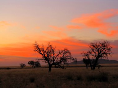 Sunset in Namibia clipart