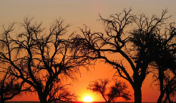 Zonsondergang in Namibië — Stockfoto