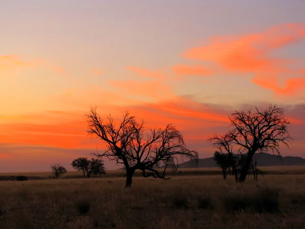 Ηλιοβασίλεμα στη Ναμίμπια — Φωτογραφία Αρχείου