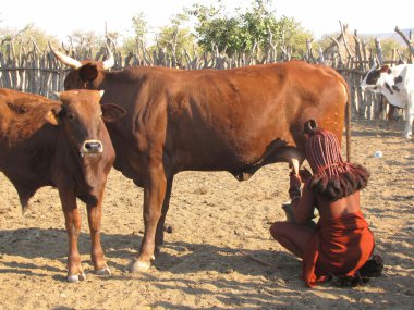 Himba woman clipart