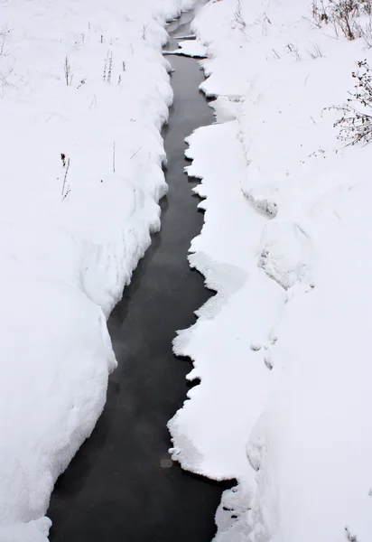 stock image Winter creek