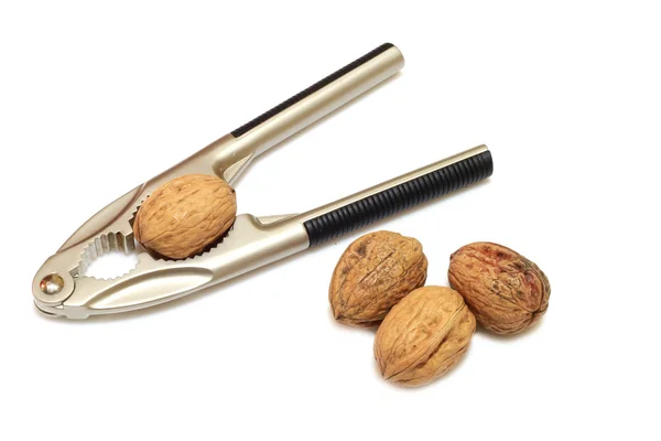 stock image Almond