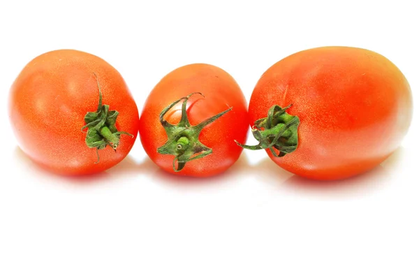 Skupina rajčat — Stock fotografie