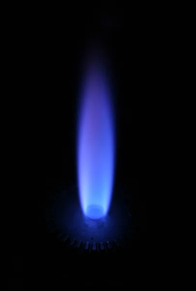 Gas stove blue flame — Stock Photo, Image