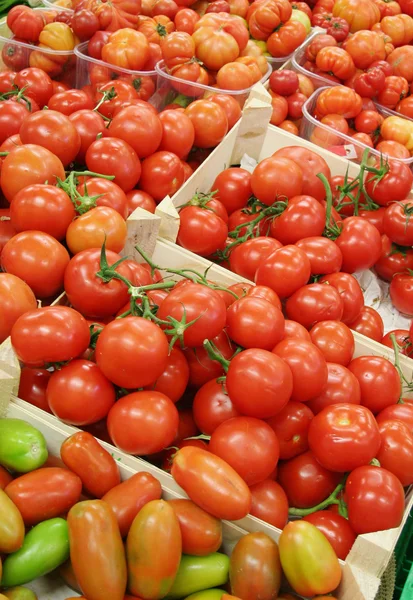 stock image Tomatoes