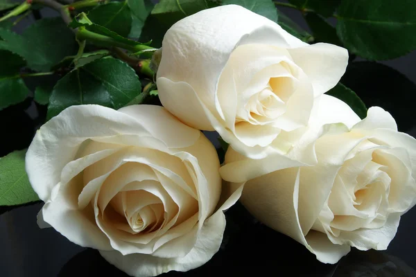 Drei weiße Rosen auf schwarz — Stockfoto