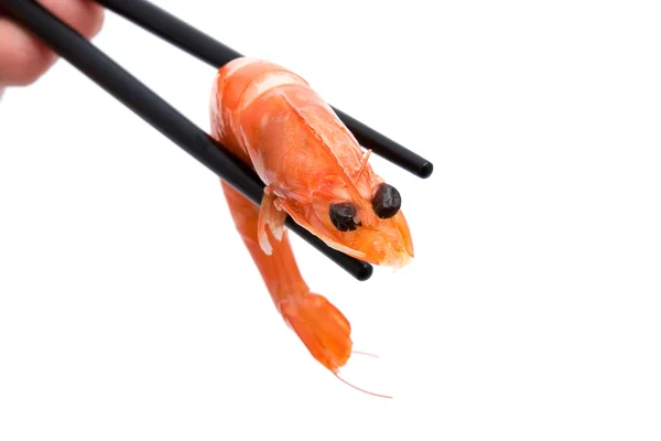 Duże krewetki zabierani przez pałeczki do sushi — Zdjęcie stockowe