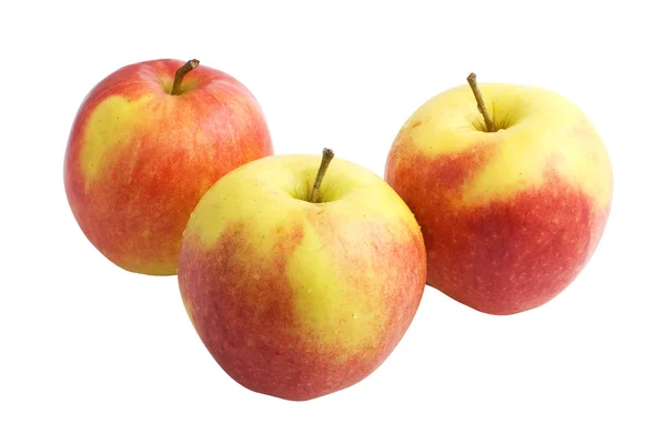 stock image Three red and yellow apples