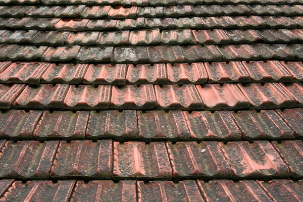 Крыша покрыта крышами — стоковое фото