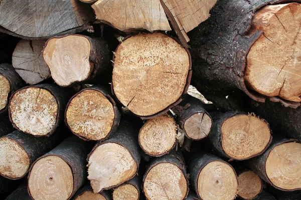 Piles of wood — Stock Photo, Image