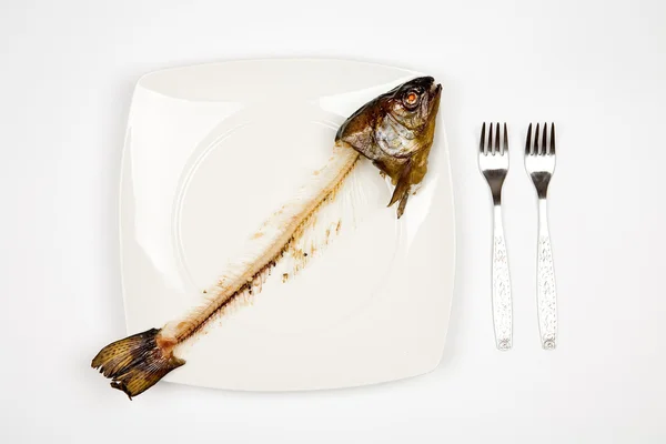 stock image Eaten fish