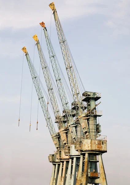 Big cranes in the harbour — Stock Photo, Image