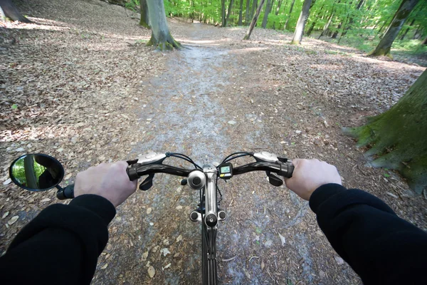 Riding through the forest — Stock Photo, Image