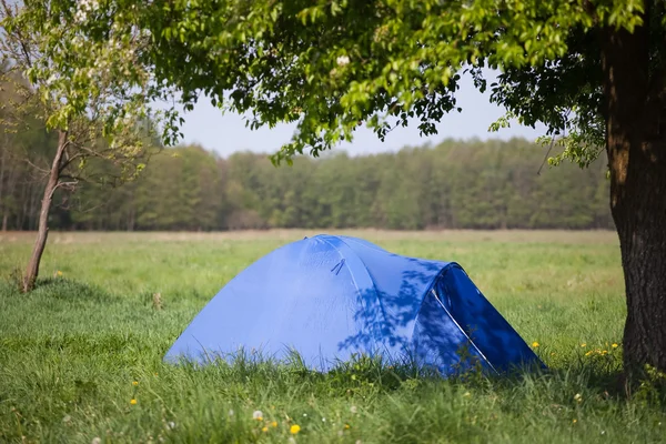 Голубая палатка под деревом — стоковое фото