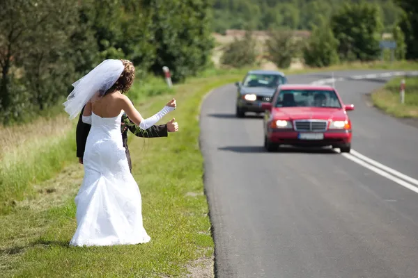 Just married couple trying to hitchhike — Stock Photo, Image