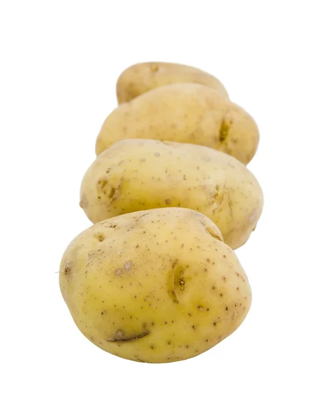 Unga potatis på den vita bakgrunden — Stockfoto