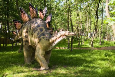 Stegosaurus armatus clipart