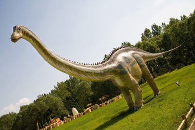 Diplodocus longus