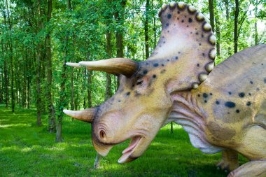 Triceratops horridus clipart