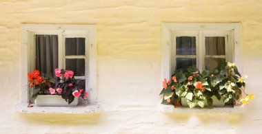 iki kırsal windows