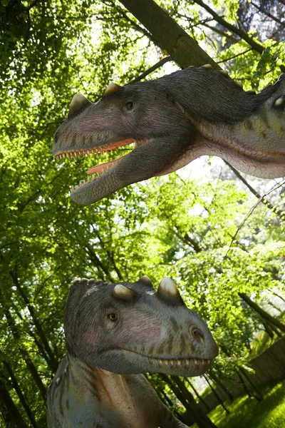 Ceratosaurus nasicornis — Stock Photo, Image