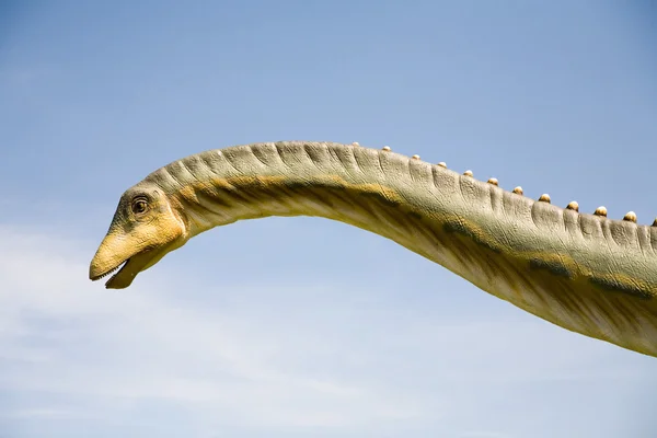 Diplodocus longus neck — Stock Photo, Image