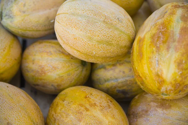 Melony świeże na chorwackim rynku — Zdjęcie stockowe