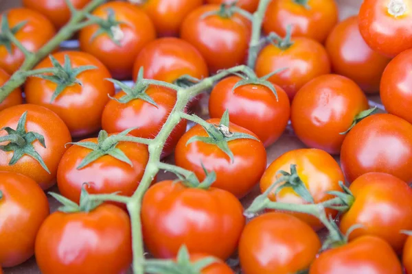 Tomates no mercado de produtos hortícolas — Fotografia de Stock