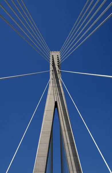 stock image Dr. Frank Tudman's bridge